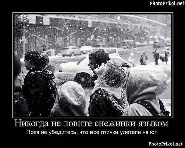 Новые смешные демотиваторы (44 демотиватора) Новые смешные демотиваторы (44 демотиватора)