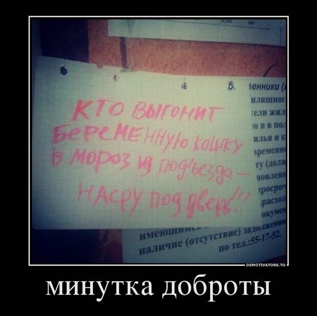 Демотиваторы демотиваторы