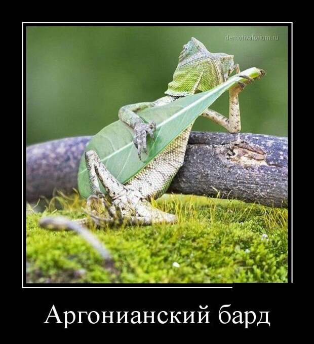 Демотиваторы Демотиваторы демотиваторы, юмор