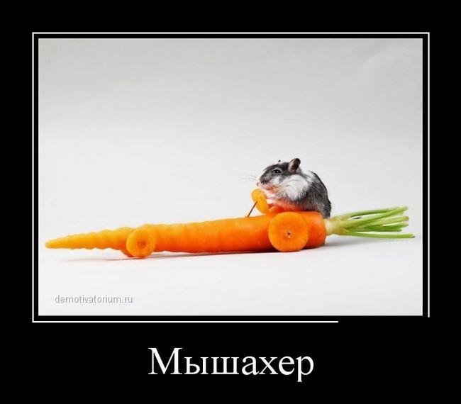 Про Карлсона, Лувр и попытку заглянуть в себя. Свежие демотиваторы