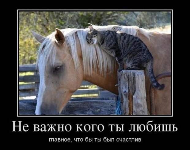 Демотиваторы дня