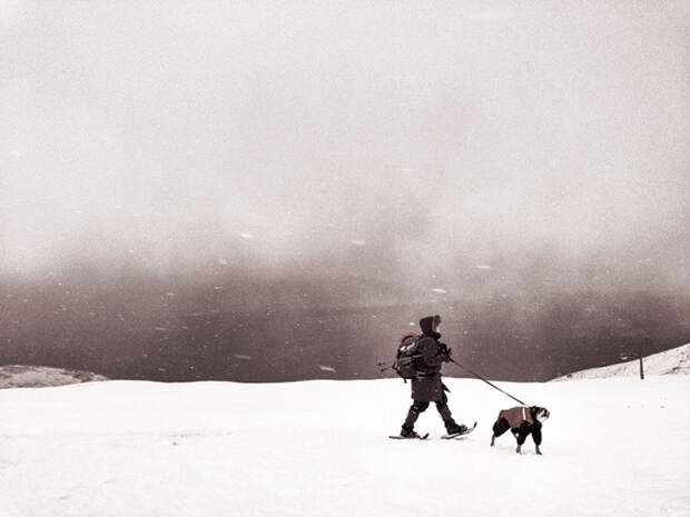 iphone photography award фото сделанные на смартфон (23)