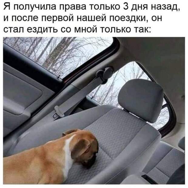 Когда только получил права Когда только получил права