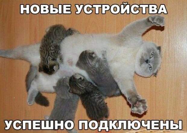 Прикольные фотомемы