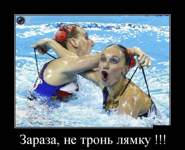 Демотиваторы бревно, демотиваторы, юмор