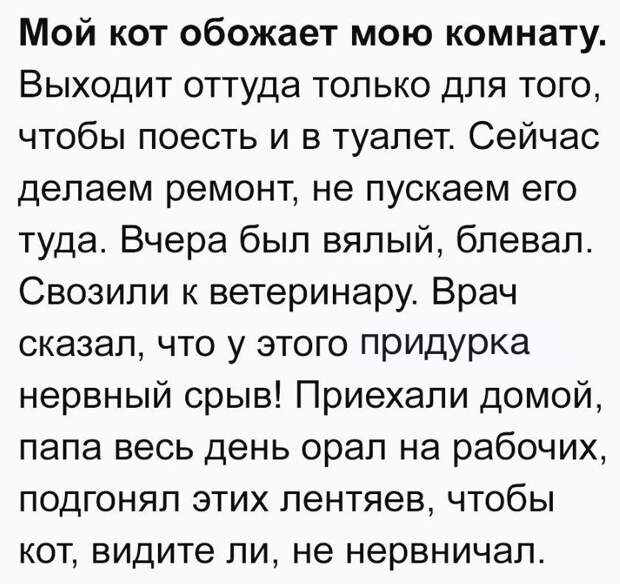 приколы дня (10)