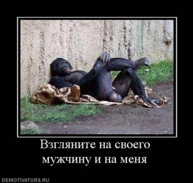 Веселые демотиваторы у нас каждый день!
