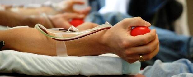 Чем полезно донорство, сдавать кровь