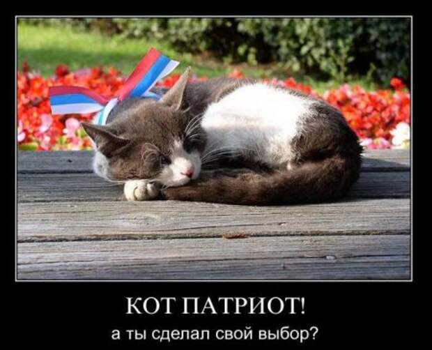 Самые смешные демотиваторы только у нас!