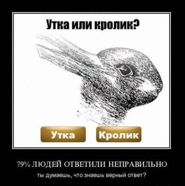 Демотиваторы приколы к выходным.