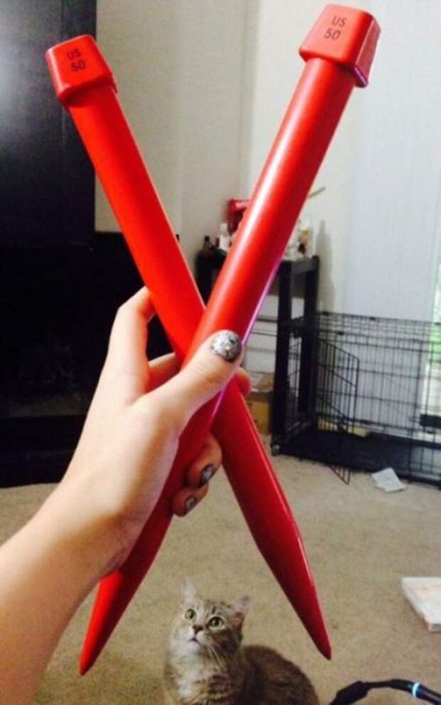 Новые котоприколы для настроения