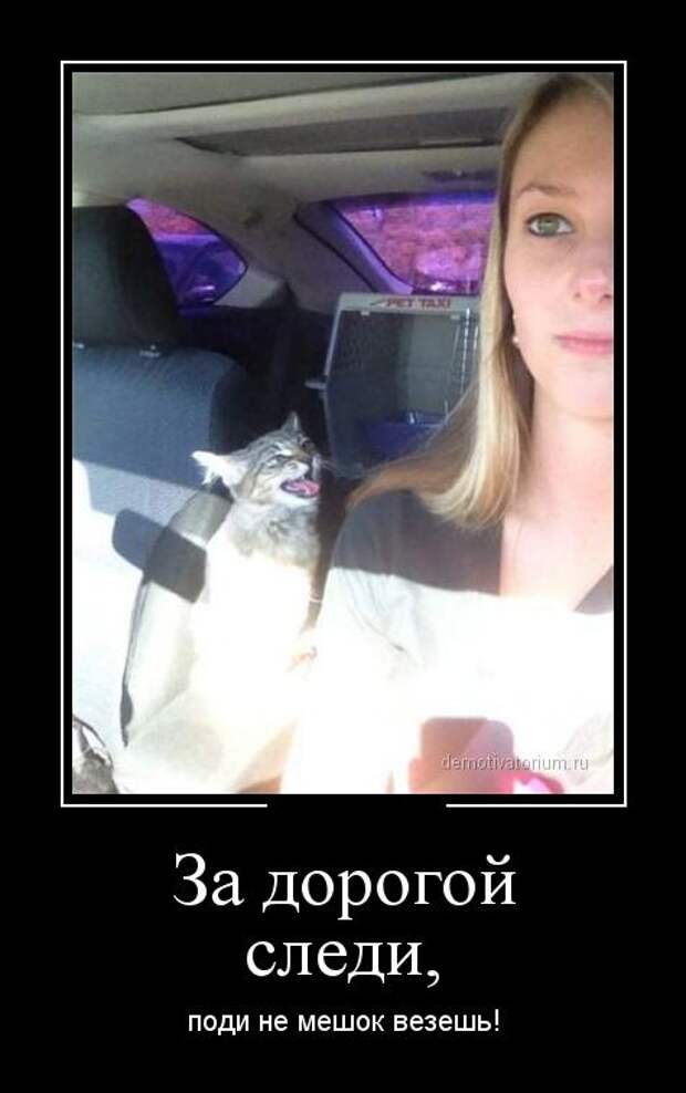 Демотиваторы демотиваторы, юмор