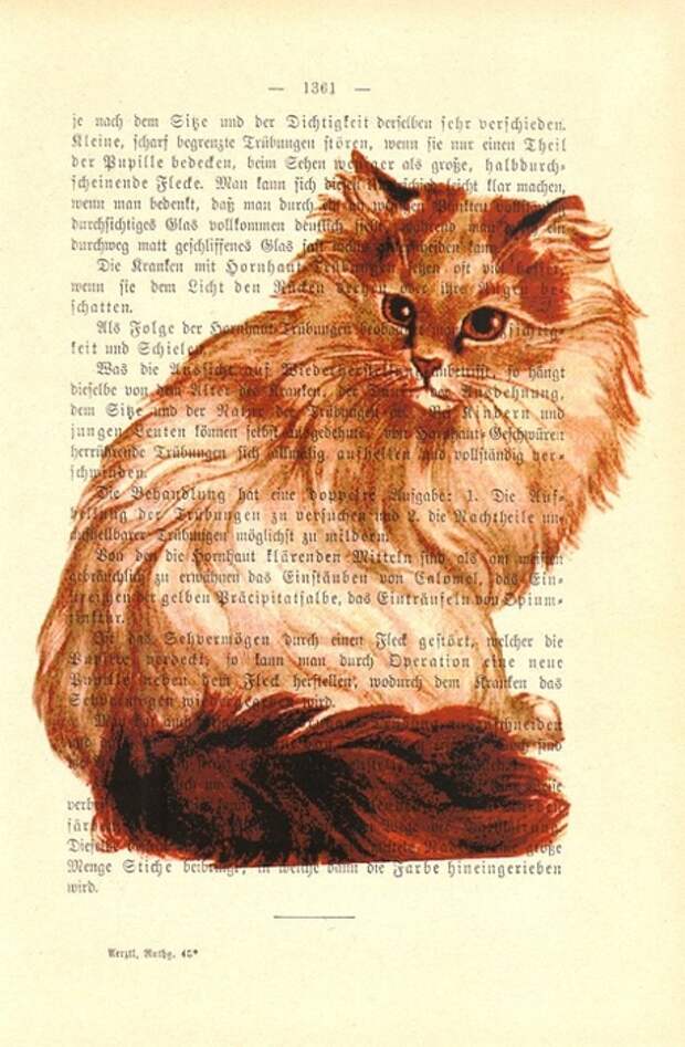 принты на книжных страницах (54) (458x700, 273Kb)