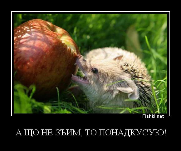 Демотиваторы демотиваторы