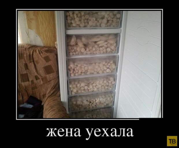 Демотиваторы (30 фото) Демотиваторы (30 фото)