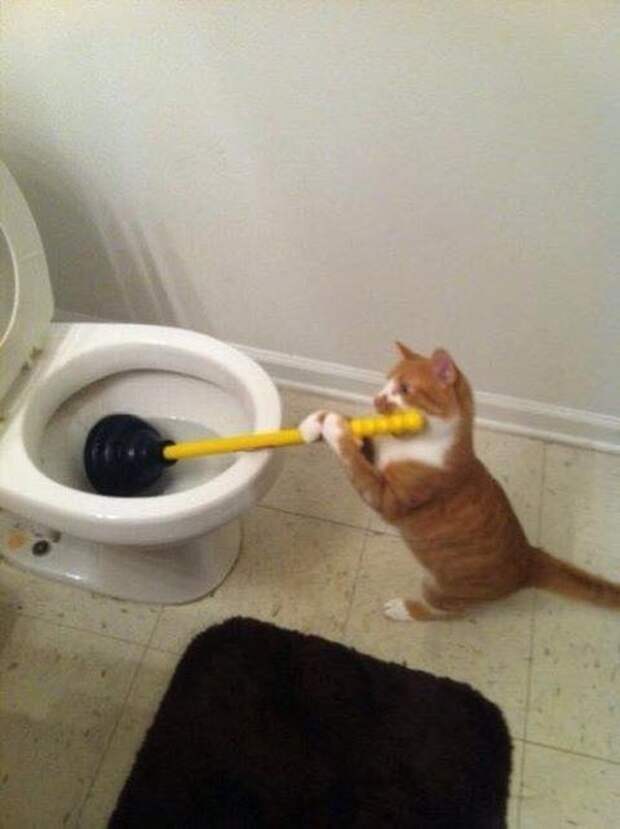 обычные герои 