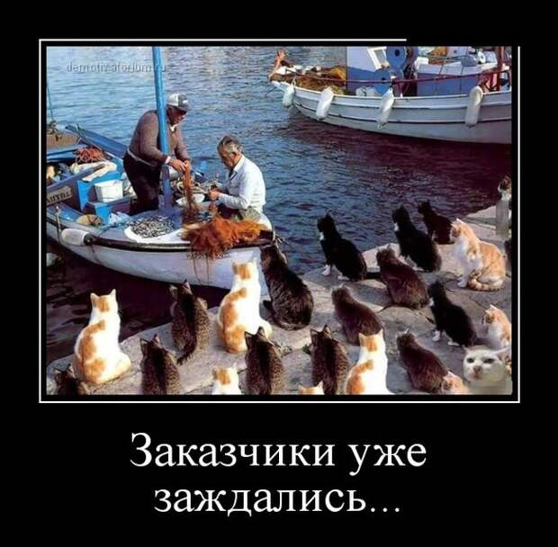 Демотиваторы (30 фото)