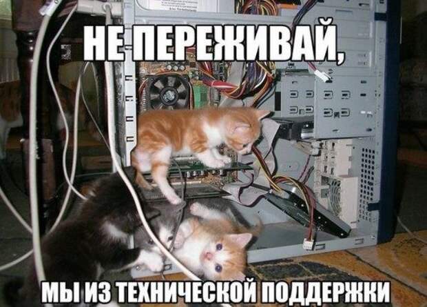 Позитивные картинки