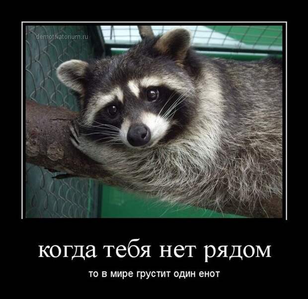 Демотиваторы  демотиваторы, прикол, смех, юмор