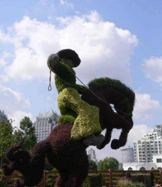 Китайский сад