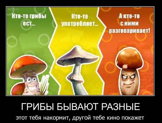 Демотиваторы Демотиваторы