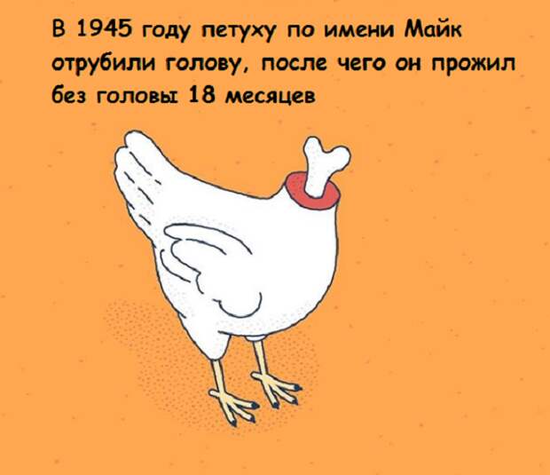www.vsyako.net