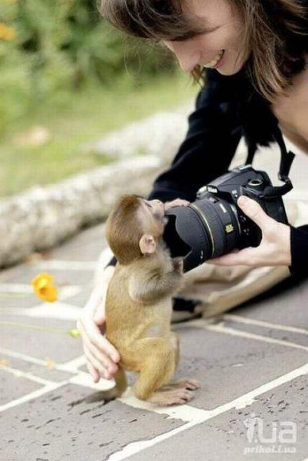 12 умилительных случаев, когда фотографа застали врасплох