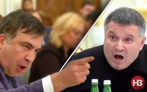 «Тонкий троллинг» - Жириновский просит Порошенко не наказывать Авакова и Саакашвили