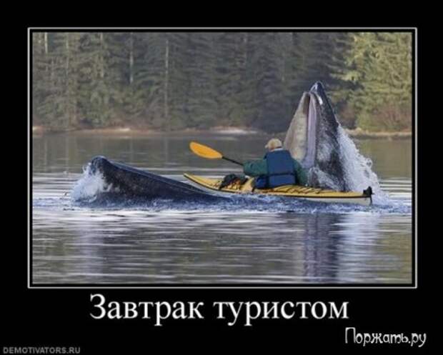 Демотиваторы (21 фото)