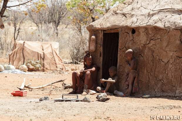 Намибия. Племя химба Блог Павла Аксенова, Химба, намибия, путешествия, фото