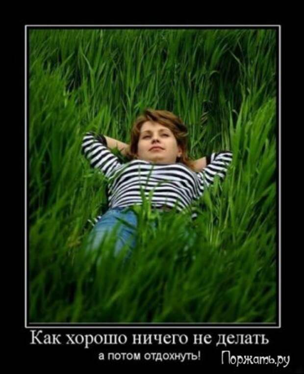 Димативаторы (21 фото)