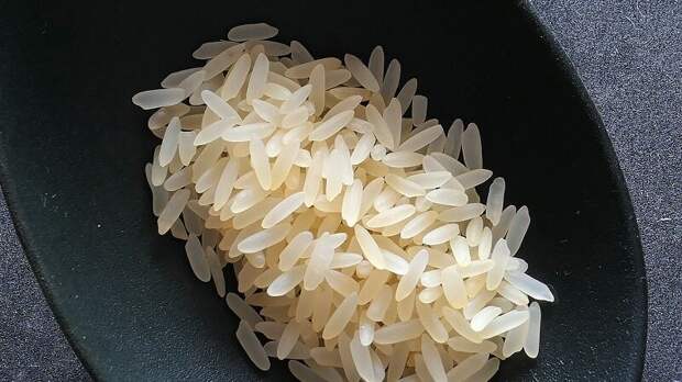 Sohu: из-за санкций против РФ Западу придется есть рис вместо хлеба