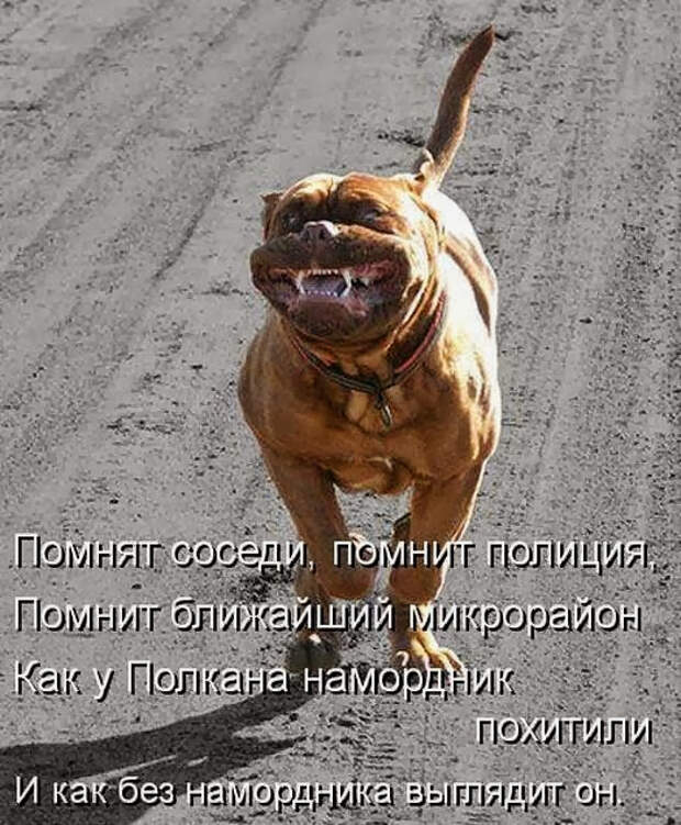 2adee94235aafa3c3cb6171f434