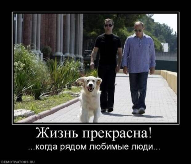 Серьезные и умные демотиваторы.