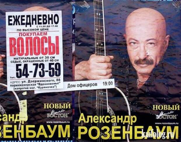 Прикольная фотоподборка-1 (42 фото)