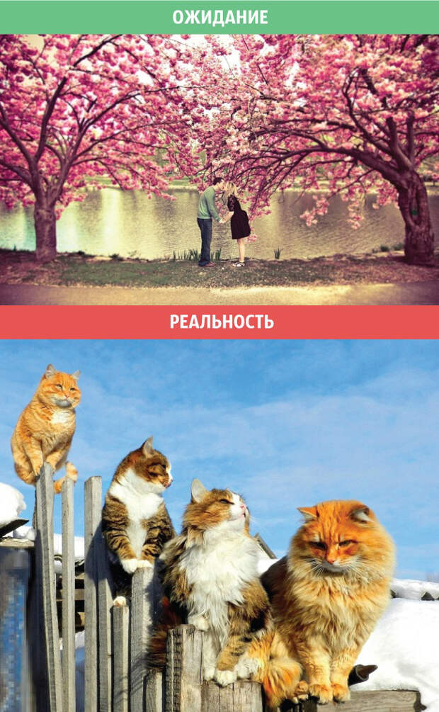 весна, ожидания и реальность