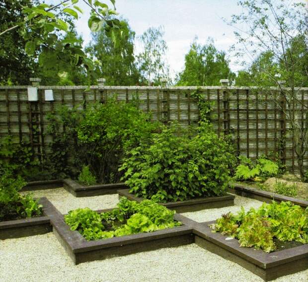 декоративный огород, грядки необычной формы, необычная геометрия форма грядок и клумб на огороде
