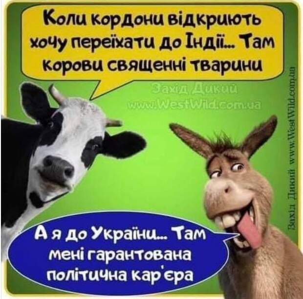 Об украинских мальчиках, которые кричат в спину Шойгу: «Волки панически бегут!»