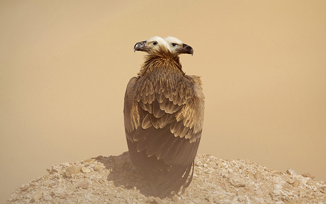 Конкурс фотографий National Geographic Traveler 2015. Часть 2