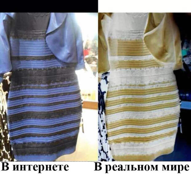 Различия людей в интернете и в реальной жизни (19 фото)