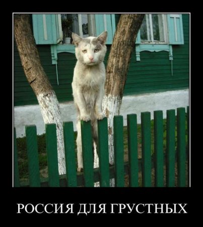 Смешные демотиваторы - залог позитивных выходных!