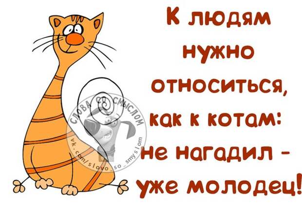 Позитивные фразочки в картинках Позитивные фразочки в картинках