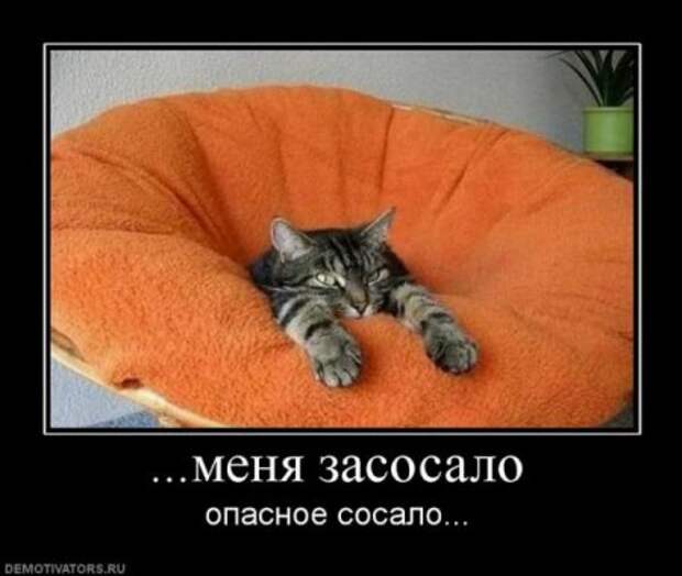 Смешные демы за неделю.
