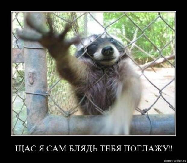 Все самое прикольное в одной подборке демотиваторов.