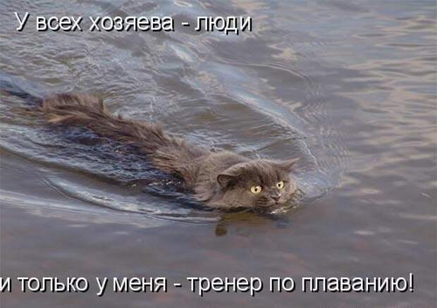 Котоматрица 9