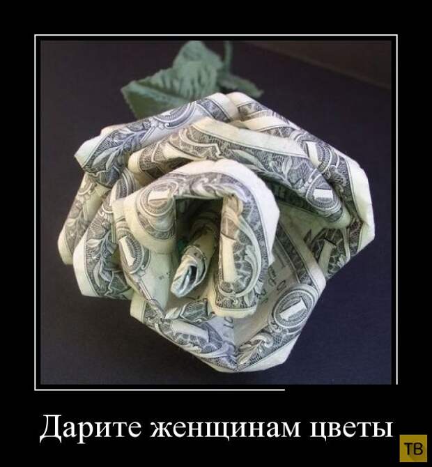 Подборка демотиваторов 30. 10. 2014 (32 фото)