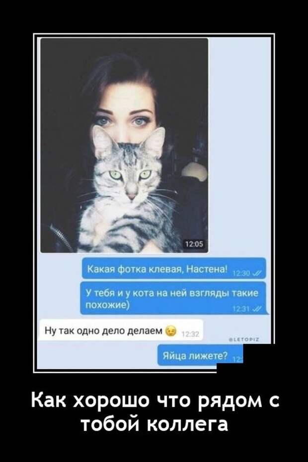 Демотиваторы 13 августа 2021 года