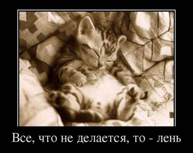 Демотиваторы (30 фото)