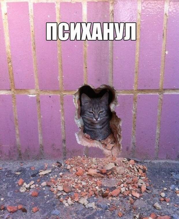 Подборка приколов подборка, прикол, хохма, юмор