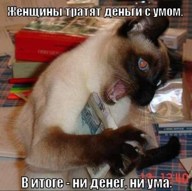 13zOK0RvWl8